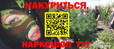 герыч Бердск