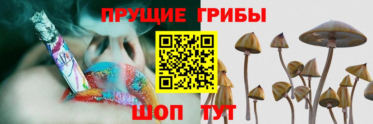 Бугуруслан  Псилоцибиновые грибы мухоморы  Вход с VPN 